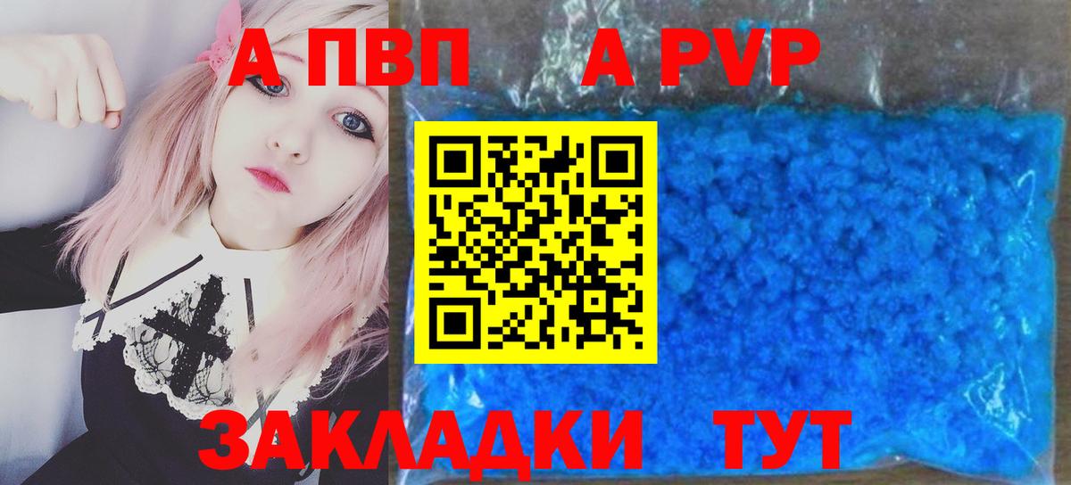 A PVP СК Воронеж