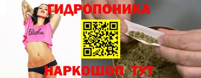 соль ск Дубна