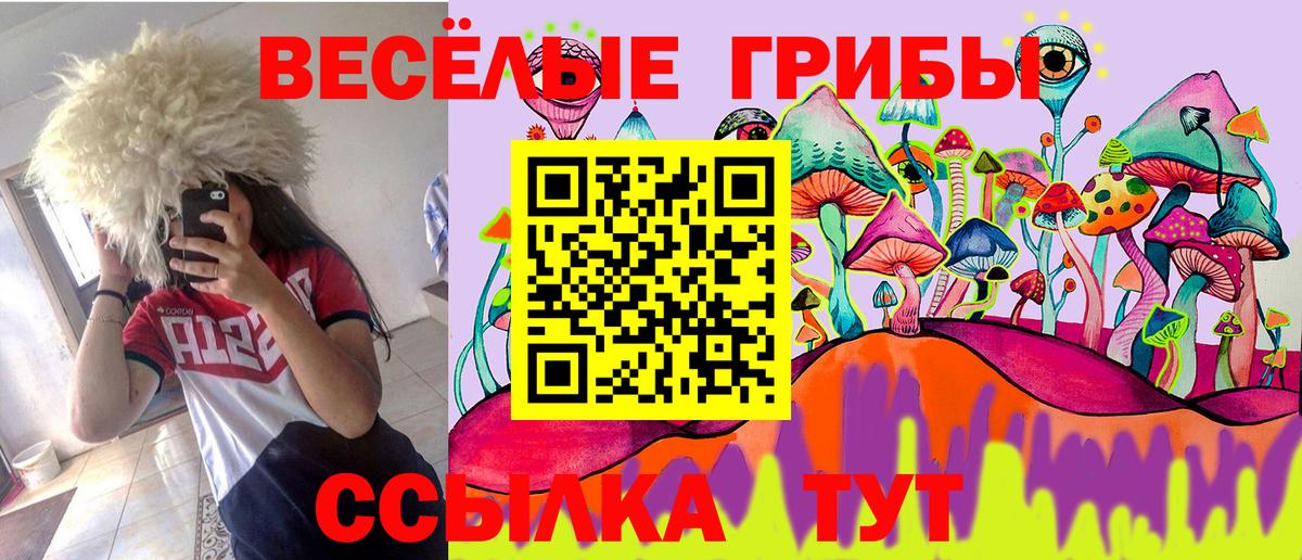 Воронеж  Галлюциногенные грибы Magic Shrooms  Вход с VPN  Псилоцибиновые грибы Cubensis 