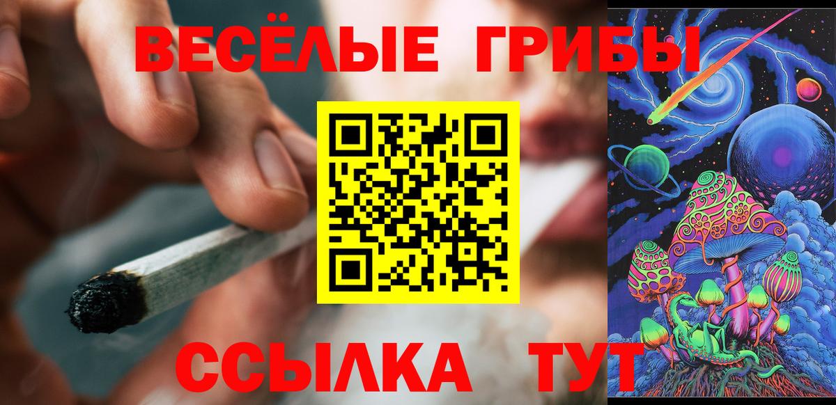 Псилоцибиновые грибы Cubensis Воронеж